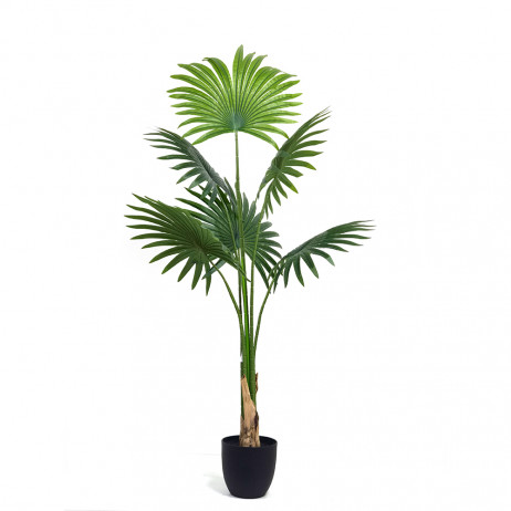 Planta Artificial Palmeira Fan 1.20 cm