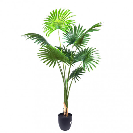Planta Artificial Palmeira Fan 1.60 cm